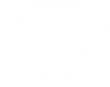 icono-ramo-automovil